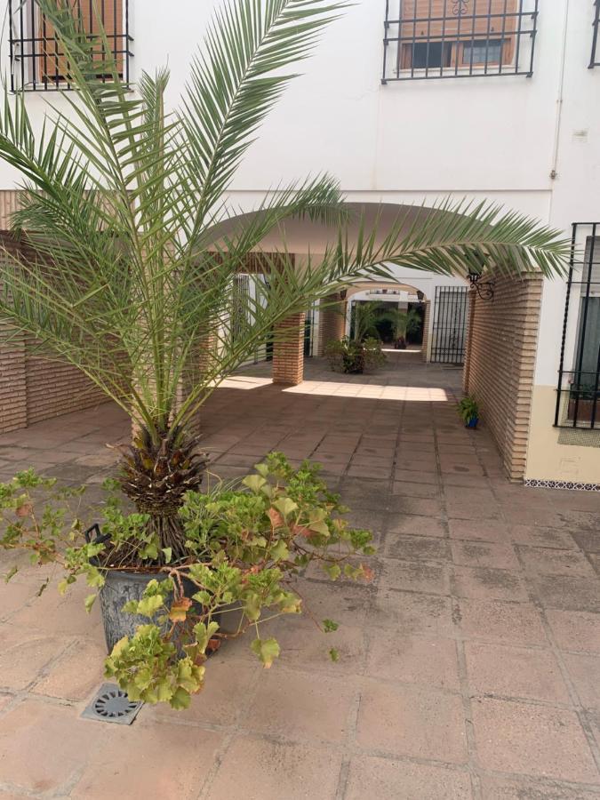 Apartamento A Estrenar A Un Minuto Del Alcazar Apartment กอร์โดบา ภายนอก รูปภาพ